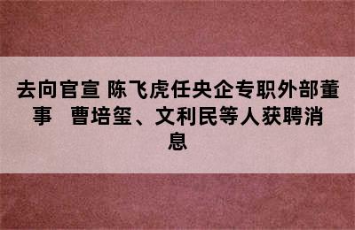 去向官宣 陈飞虎任央企专职外部董事 + 曹培玺、文利民等人获聘消息